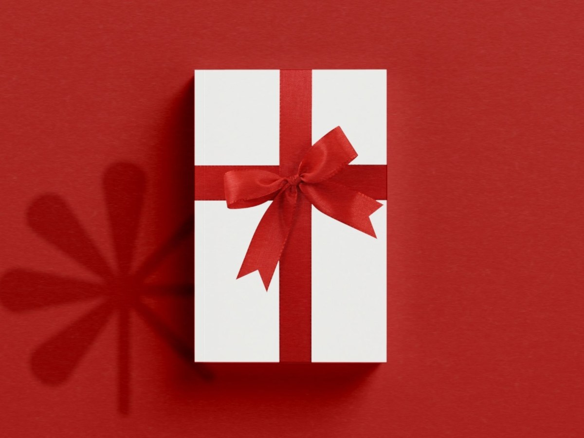 Guida al Natale: come regalare libri (anche) a chi non ama i libri