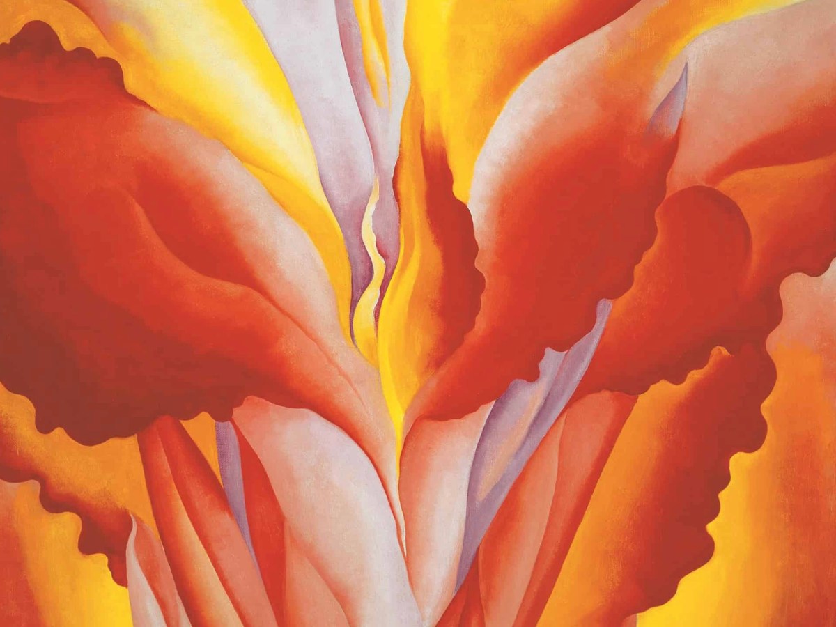 “Spine” di Laura Ramieri