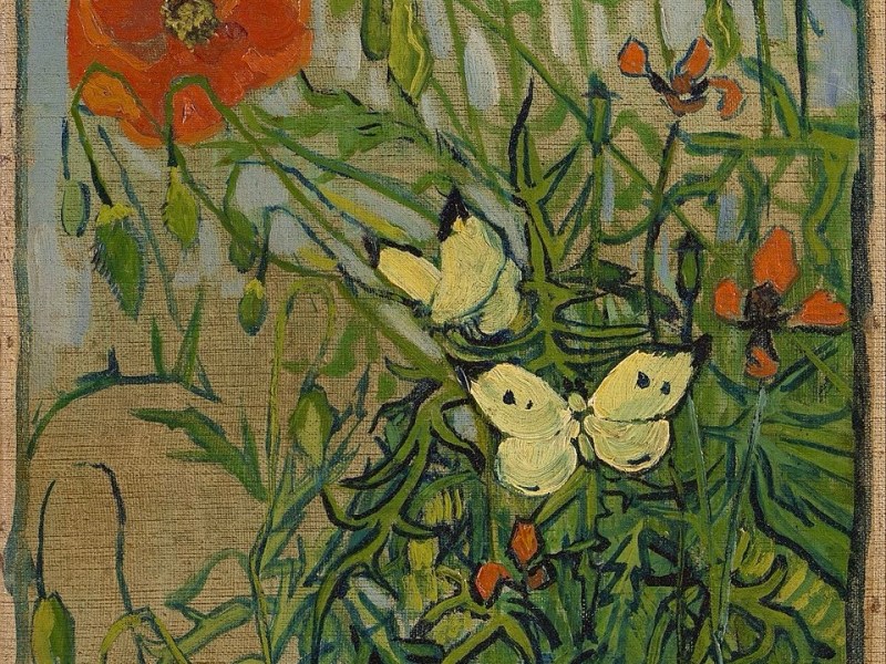 “Mimesi” di Sara Spanò